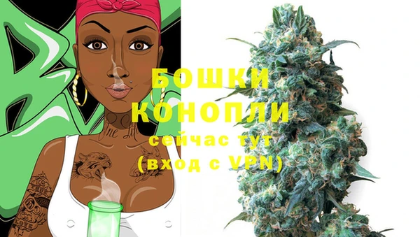 прущие крисы Рославль