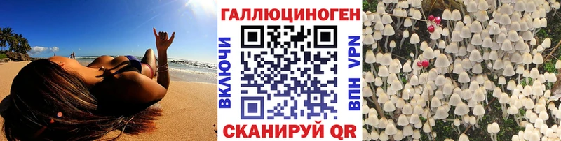 Псилоцибиновые грибы мицелий  Алдан 